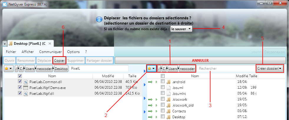 Capture écran de NetGyver Express : préparer Déplacer.