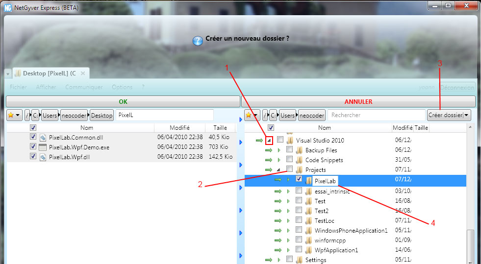 NetGyver screenshot: create a destination folder.