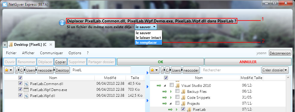 NetGyver screenshot: confirm moving files.